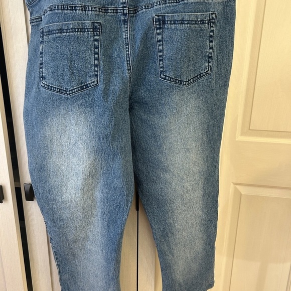 DG2 Rose Embroidered Jean Sz 22 WP - Picture 3 of 11